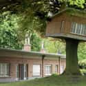 Senior Center Treehouse on Random Coolest Treehouses in the World
