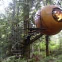 Free Spirit Spheres on Random Coolest Treehouses in the World