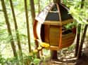 Hemloft Treehouse on Random Coolest Treehouses in the World