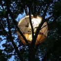 O2 Stability Treehouse on Random Coolest Treehouses in the World