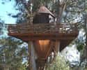 Lantern House on Random Coolest Treehouses in the World