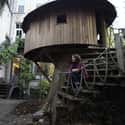 Greenwich Treehouse on Random Coolest Treehouses in the World
