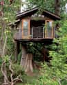 Secret Garden Treehouse on Random Coolest Treehouses in the World