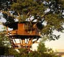 Lake Treehouse on Random Coolest Treehouses in the World