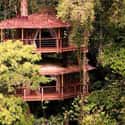 Mis Ojos on Random Coolest Treehouses in the World