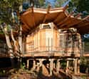 Just for Kids Treehouse on Random Coolest Treehouses in the World