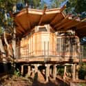 Just for Kids Treehouse on Random Coolest Treehouses in the World