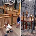 Forever Young Treehouses on Random Coolest Treehouses in the World
