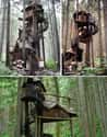 Fairytale Treehouse on Random Coolest Treehouses in the World