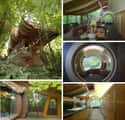 Wilkinson Treehouse on Random Coolest Treehouses in the World