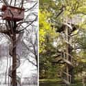 Spiral House on Random Coolest Treehouses in the World