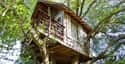 Air BnB on Random Coolest Treehouses in the World