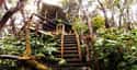 Volcano Treehouse! on Random Coolest Treehouses in the World