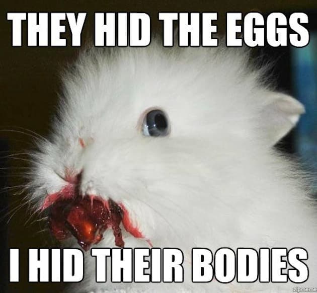Random Funniest Easter Memes and Cutest Pics