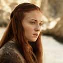 Re: Ser Loras Honor on Random Best Sansa Stark Quotes