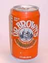 Dr. Brown's Orange on Random Best Orange Soda Brands