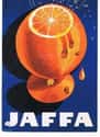 Jaffa Orange Soda on Random Best Orange Soda Brands