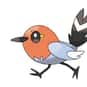 Fletchling is listed (or ranked) 37 on the list The Best Generation 6 Pokemon