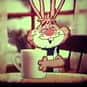 Quik Bunny is listed (or ranked) 17 on the list Cartoons/Comics: Best Bunnies