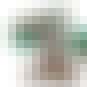 Trevenant is listed (or ranked) 24 on the list The Best Generation 6 Pokemon