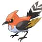 Fletchinder is listed (or ranked) 31 on the list The Best Generation 6 Pokemon