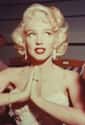 Marilyn Monroe Prays That She'll Be Remembered Forever on Random Best Photos Of Marilyn Monroe
