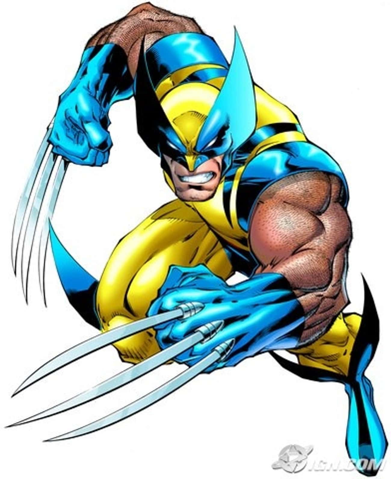 Classic Wolverine