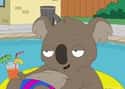 Reginald the Koala on Random Best American Dad Characters