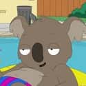 Reginald the Koala on Random Best American Dad Characters