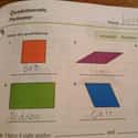 Name This Quadrilateral on Random Hilarious Test Answers From Kids