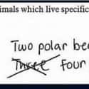 I Mean, They Probably Do... on Random Hilarious Test Answers From Kids