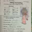 Sitting and Knitting on Random Hilarious Test Answers From Kids