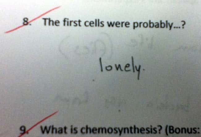 :'-( is listed (or ranked) 23 on the list 53 Hilarious Test Answers From Kids