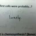 :'-( on Random Hilarious Test Answers From Kids