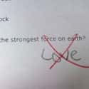 What Is the Strongest Force On Earth? on Random Hilarious Test Answers From Kids