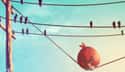 Angry Bird On A Wire on Random Nerdtastic Pieces of Pop Culture Art