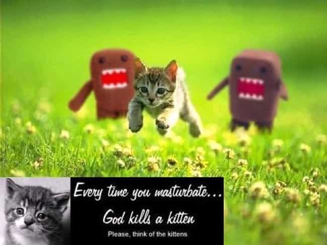 Think of the Kittens!