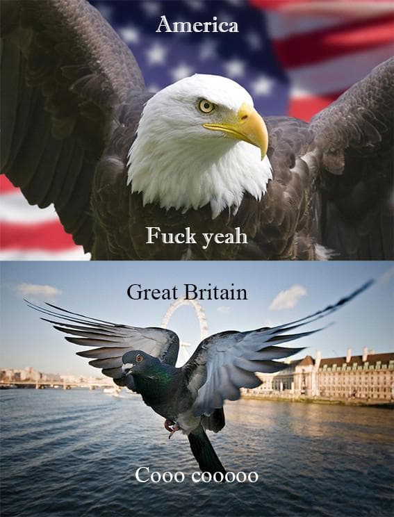 The Best 'Murica Memes