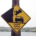 Suicidal Cows on Random Most Hilarious Signs