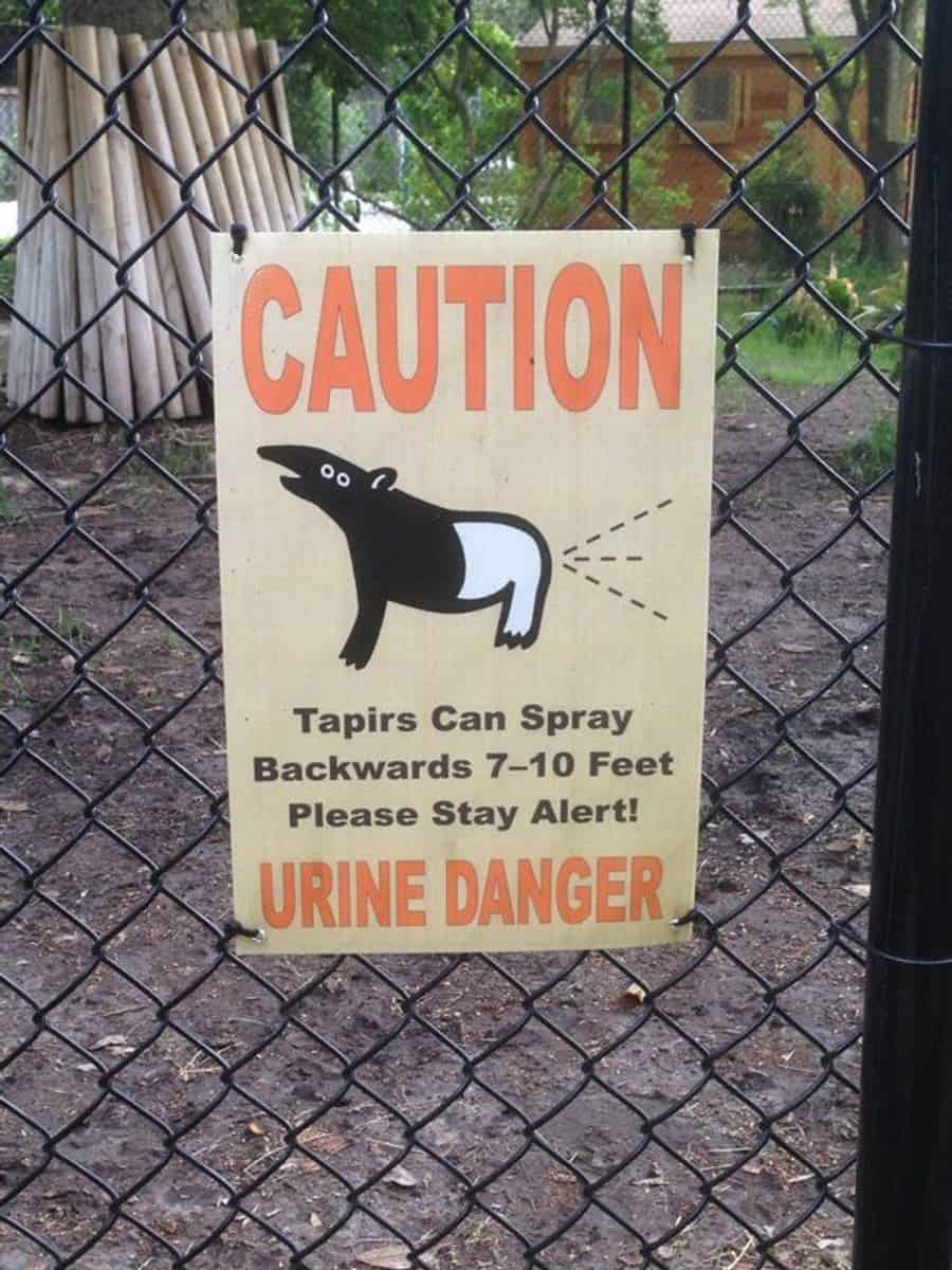 [Image: tapir-threat-photo-u1?fit=crop&fm=pj...&dpr=2]
