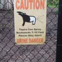 Tapir Threat on Random Most Hilarious Signs