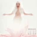 Lotus on Random Best Christina Aguilera Albums