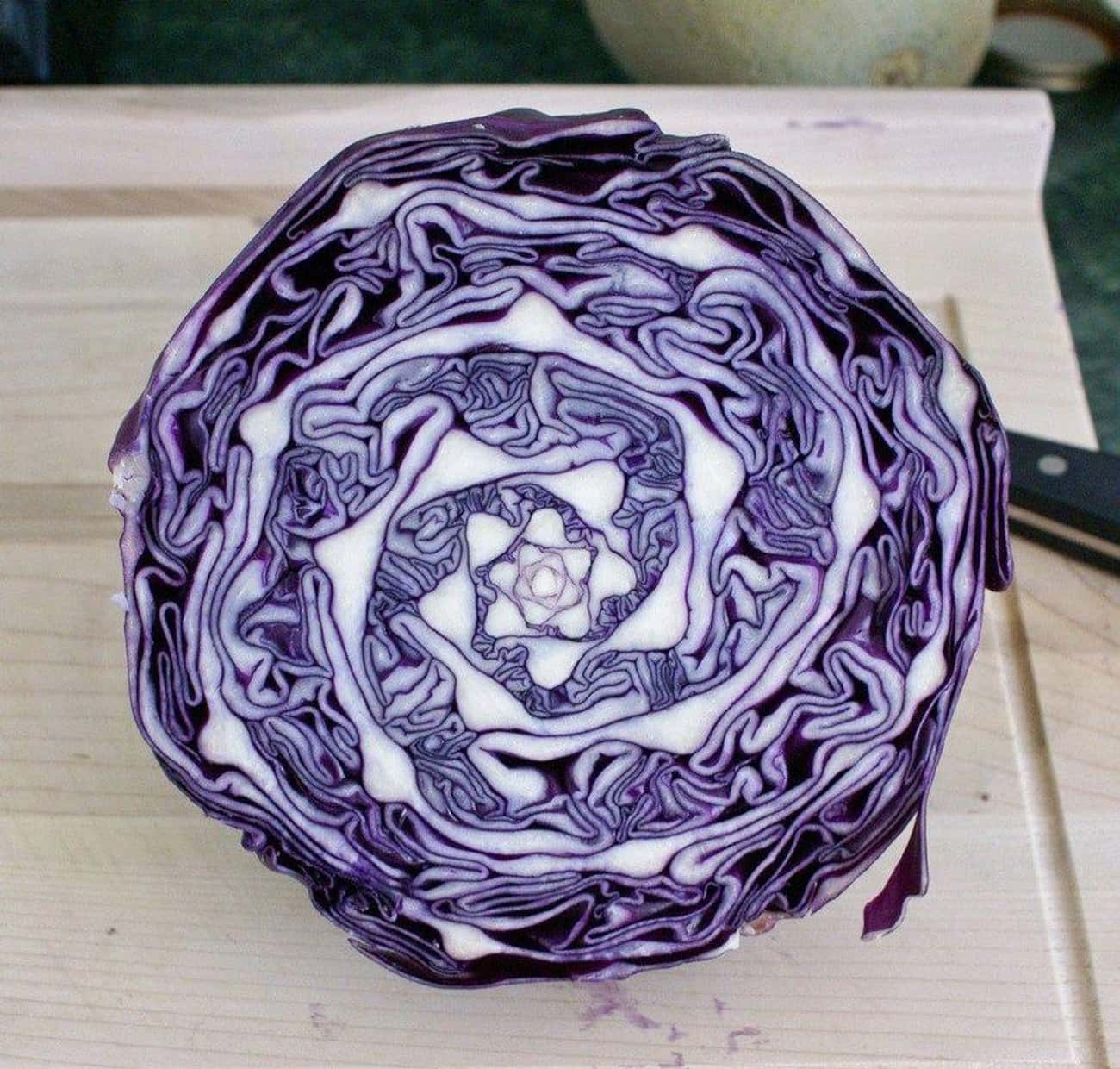 Cabbage Geometry
