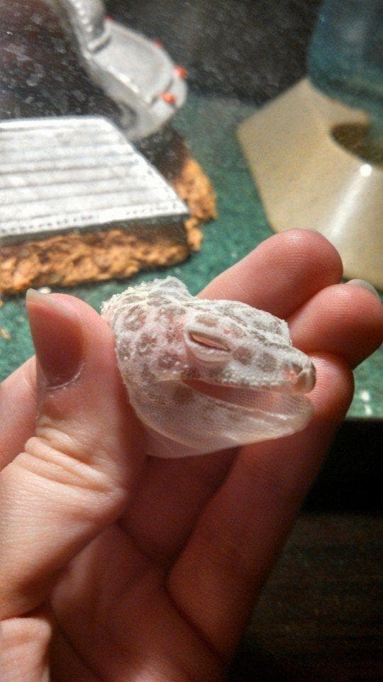 Incredible Pictures That Might Teach You Something