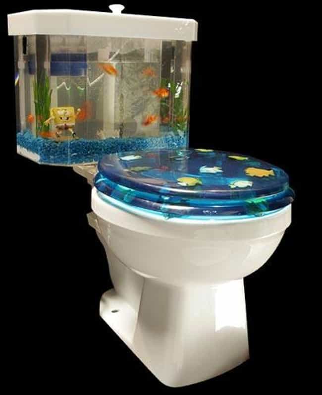 Aquarium Toilet Isn't Tacky at All