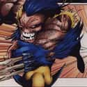 Wolverine Loses Adamantium, Goes Feral on Random Character Changes in Marvel Comics