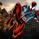 Scarlet Spider Spider-Man on Random Best Alternate Costumes in Marvel Comics