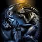 Aliens Vs Predator is listed (or ranked) 16 on the list The Most Hated Movies