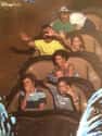 This 'You Can't Fire Me, I Quit' Attitude Kid Over Here on Random Greatest Rollercoaster Pics Ever Taken
