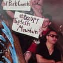 Occupy Splash Mountain on Random Greatest Rollercoaster Pics Ever Taken